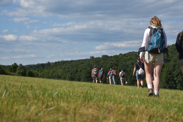Kattints ide a teljes kép megtekintéséhez