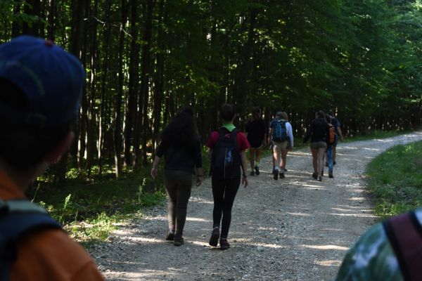 Kattints ide a teljes kép megtekintéséhez