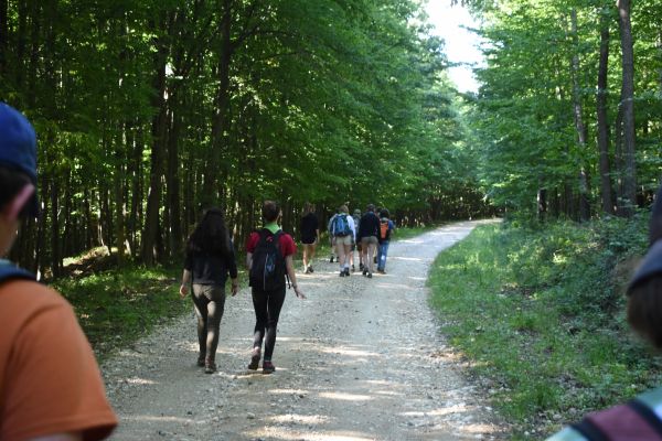 Kattints ide a teljes kép megtekintéséhez