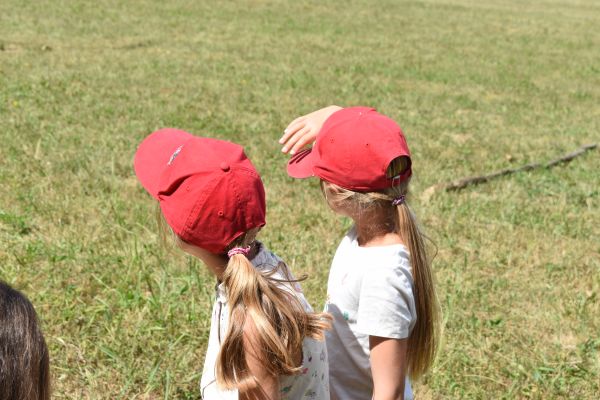 Kattints ide a teljes kép megtekintéséhez