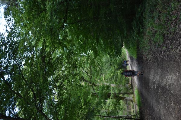 Kattints ide a teljes kép megtekintéséhez