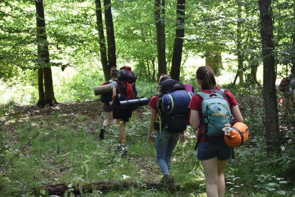Kattints ide a teljes kép megtekintéséhez