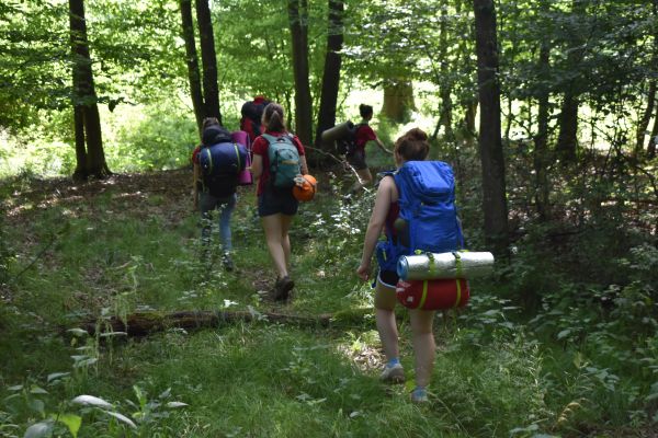 Kattints ide a teljes kép megtekintéséhez