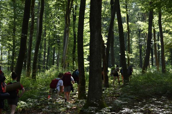 Kattints ide a teljes kép megtekintéséhez
