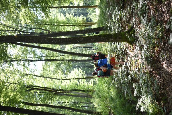 Kattints ide a teljes kép megtekintéséhez