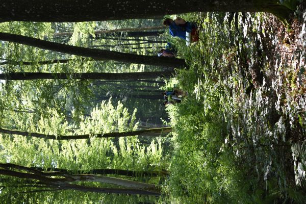 Kattints ide a teljes kép megtekintéséhez