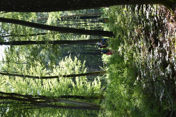 Kattints ide a teljes kép megtekintéséhez