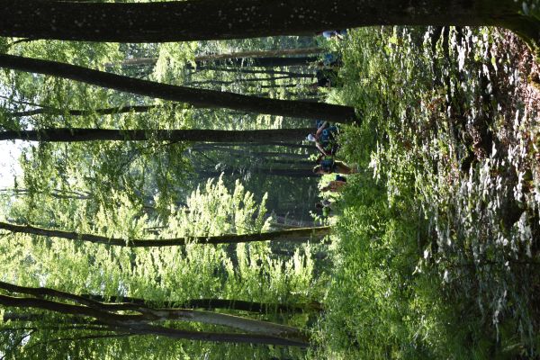 Kattints ide a teljes kép megtekintéséhez