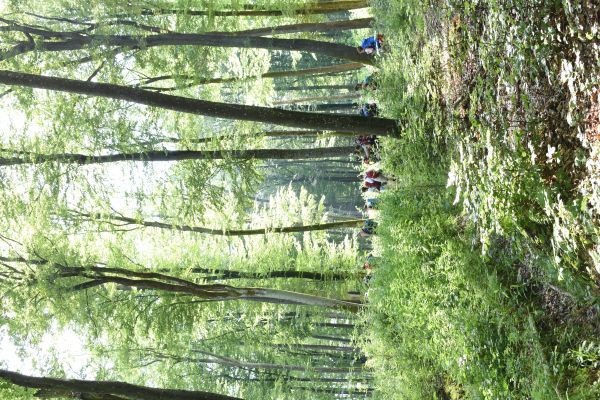 Kattints ide a teljes kép megtekintéséhez