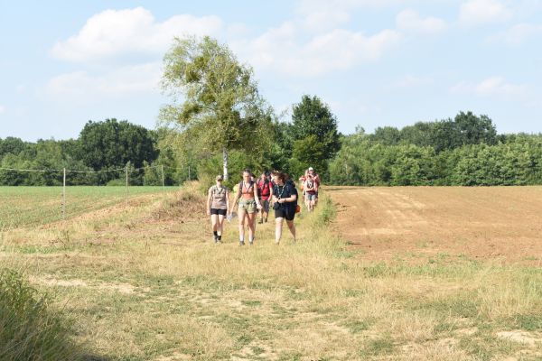 Kattints ide a teljes kép megtekintéséhez