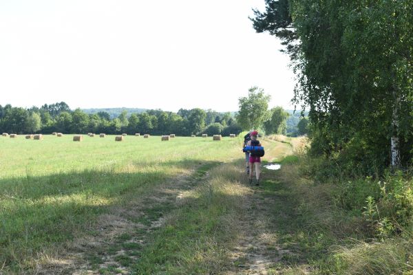 Kattints ide a teljes kép megtekintéséhez