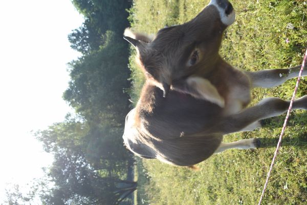 Kattints ide a teljes kép megtekintéséhez