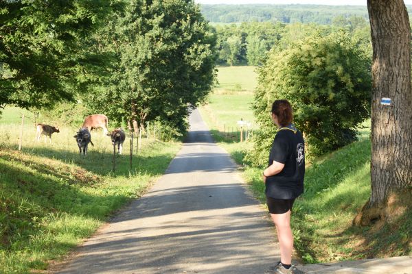 Kattints ide a teljes kép megtekintéséhez