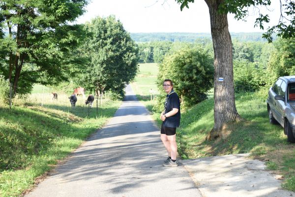 Kattints ide a teljes kép megtekintéséhez