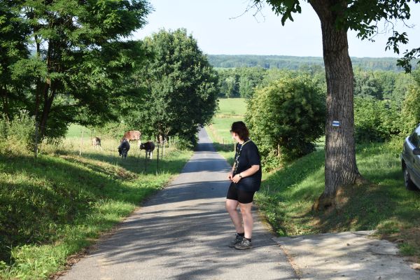 Kattints ide a teljes kép megtekintéséhez