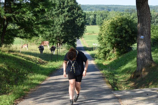 Kattints ide a teljes kép megtekintéséhez