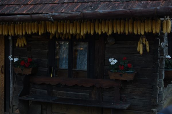 Kattints ide a teljes kép megtekintéséhez