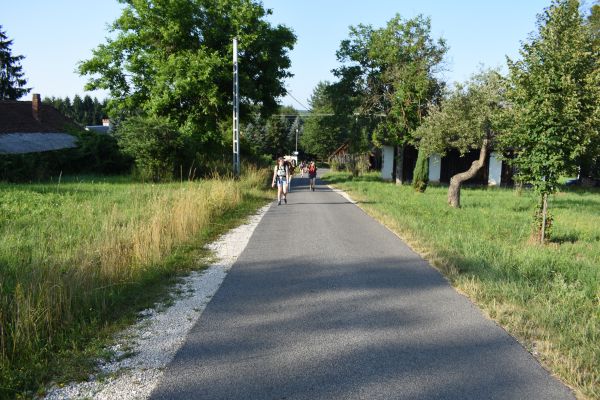 Kattints ide a teljes kép megtekintéséhez