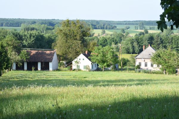 Kattints ide a teljes kép megtekintéséhez