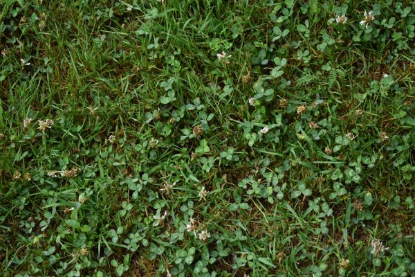 Kattints ide a teljes kép megtekintéséhez