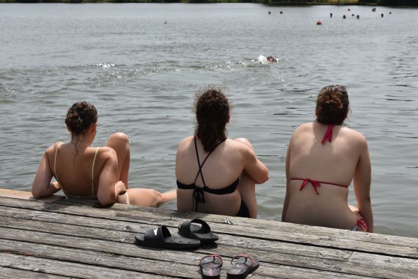 Kattints ide a teljes kép megtekintéséhez