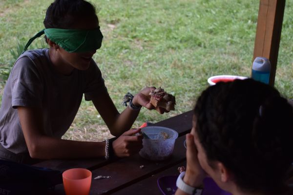 Kattints ide a teljes kép megtekintéséhez