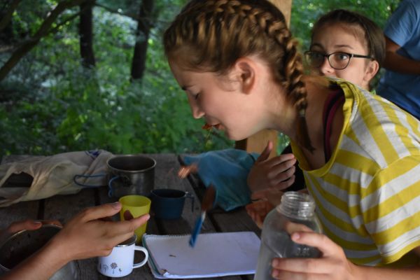 Kattints ide a teljes kép megtekintéséhez