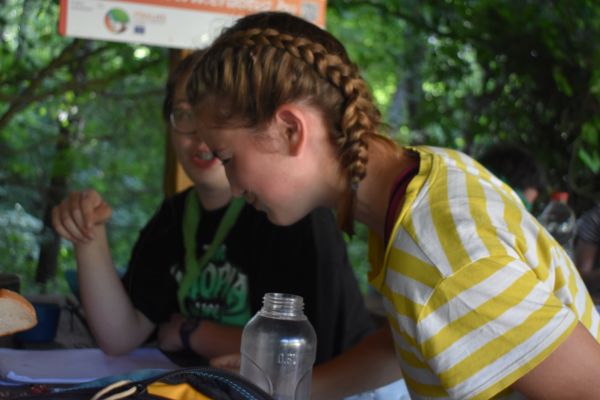 Kattints ide a teljes kép megtekintéséhez