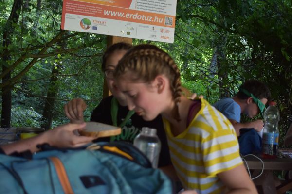 Kattints ide a teljes kép megtekintéséhez