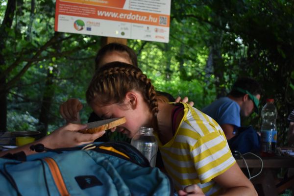 Kattints ide a teljes kép megtekintéséhez