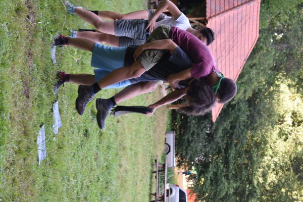 Kattints ide a teljes kép megtekintéséhez