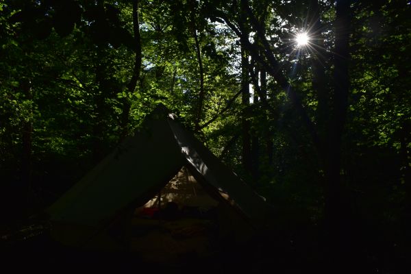 Kattints ide a teljes kép megtekintéséhez