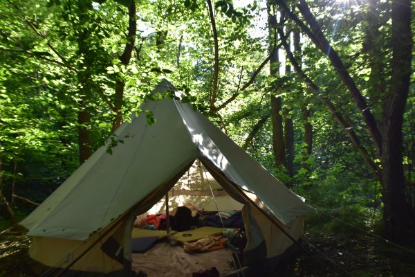 Kattints ide a teljes kép megtekintéséhez