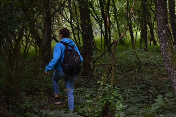 Kattints ide a teljes kép megtekintéséhez
