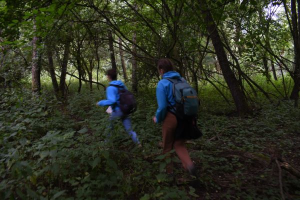 Kattints ide a teljes kép megtekintéséhez