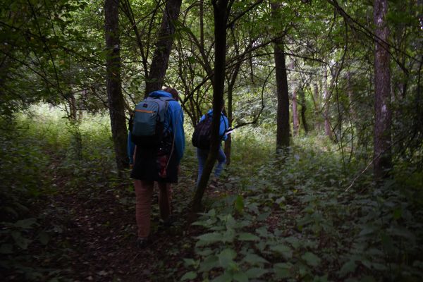Kattints ide a teljes kép megtekintéséhez