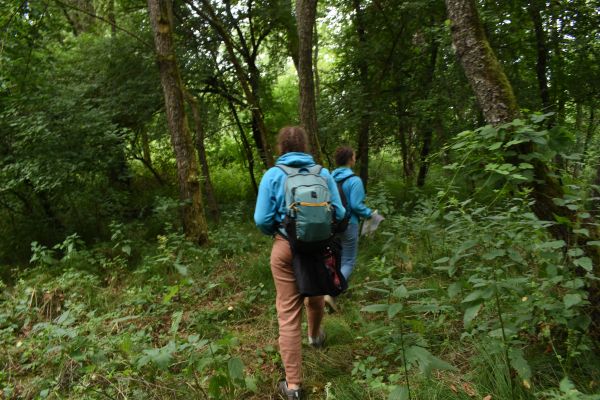 Kattints ide a teljes kép megtekintéséhez