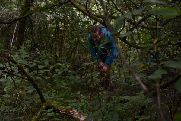Kattints ide a teljes kép megtekintéséhez