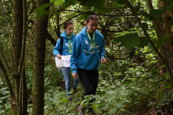 Kattints ide a teljes kép megtekintéséhez