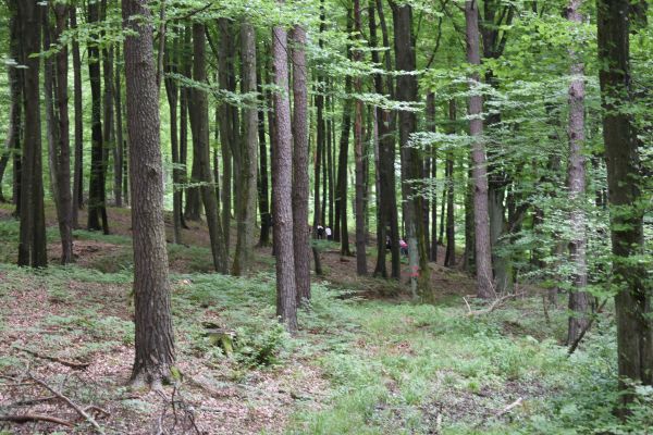 Kattints ide a teljes kép megtekintéséhez