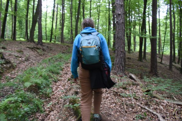 Kattints ide a teljes kép megtekintéséhez