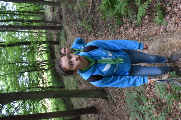 Kattints ide a teljes kép megtekintéséhez