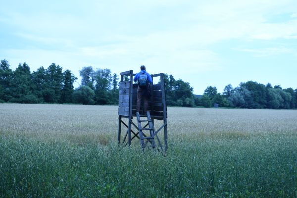 Kattints ide a teljes kép megtekintéséhez