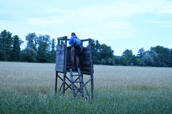 Kattints ide a teljes kép megtekintéséhez
