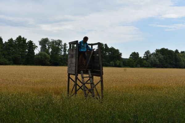 Kattints ide a teljes kép megtekintéséhez