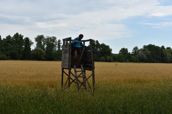 Kattints ide a teljes kép megtekintéséhez