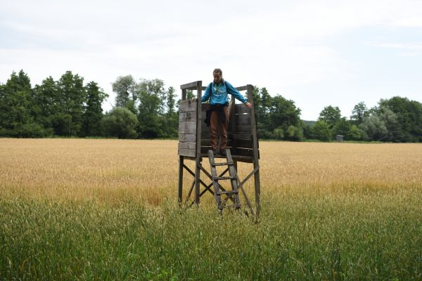Kattints ide a teljes kép megtekintéséhez