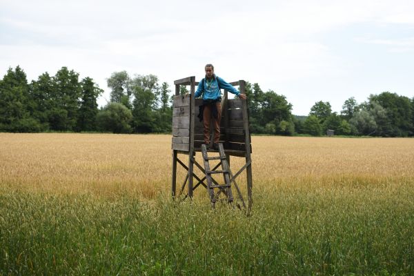 Kattints ide a teljes kép megtekintéséhez