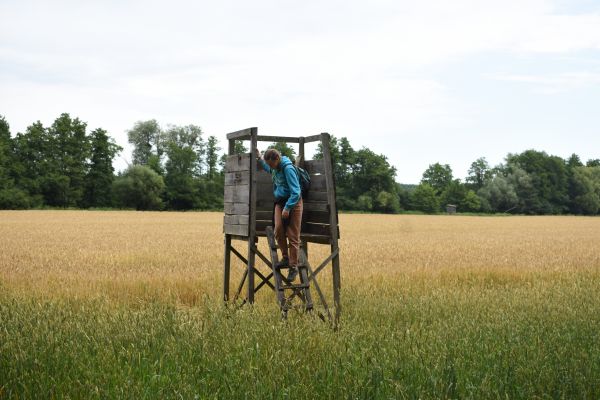 Kattints ide a teljes kép megtekintéséhez