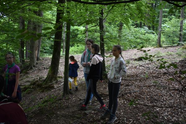 Kattints ide a teljes kép megtekintéséhez